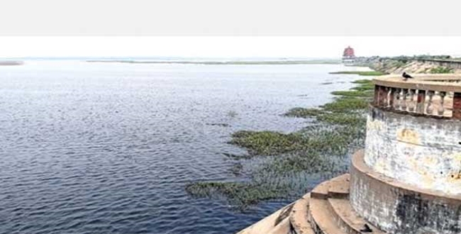 Seithipunal