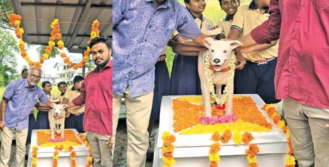 Seithipunal