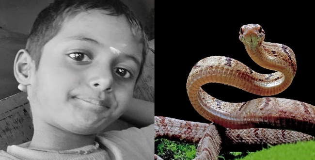 Seithipunal