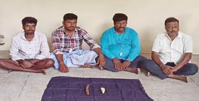 Seithipunal