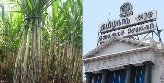Seithipunal