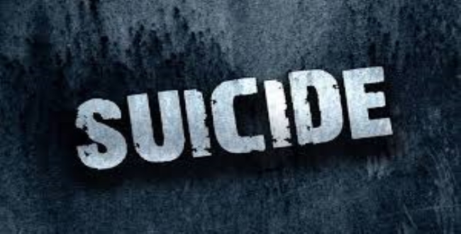 Image result for suicide seithipunal