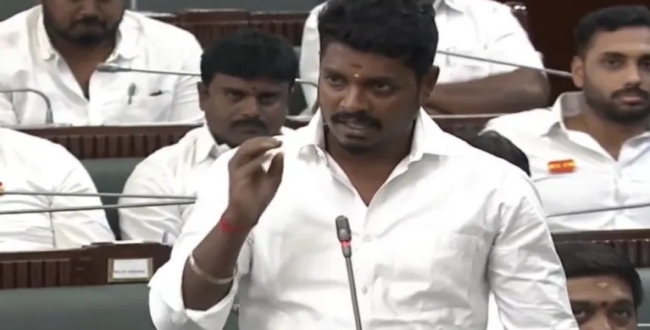 Seithipunal