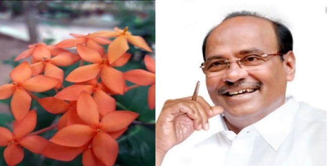 Seithipunal