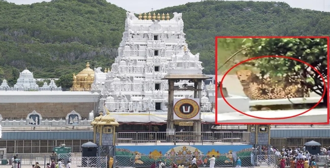 Seithipunal