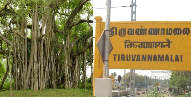 Seithipunal