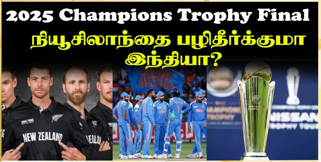 Seithipunal