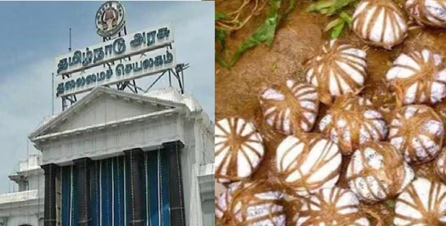 Seithipunal