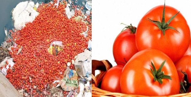 
	மார்க்கெட்டில் வாங்க யாருமில்லை… ஜம்மனை ஓடையில் குவியும் டன் கணக்கான தக்காளி...! - Seithipunal
