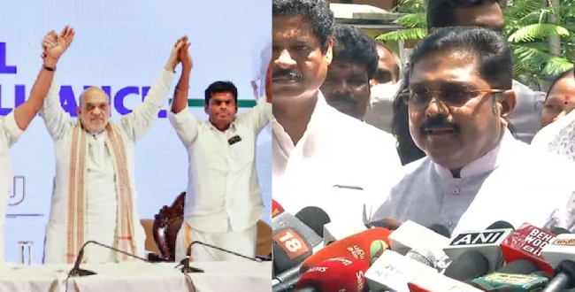 Seithipunal