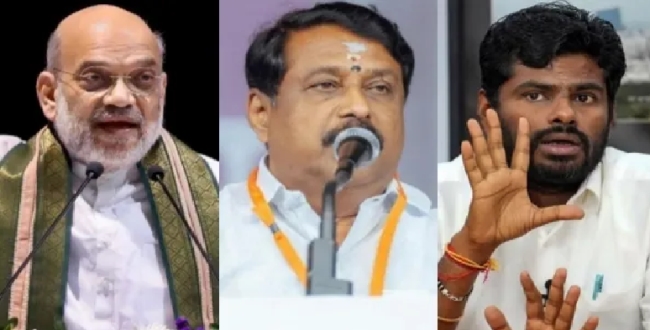 Seithipunal