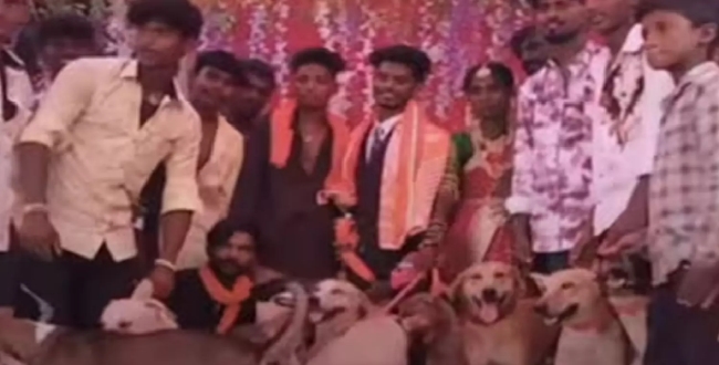 Seithipunal