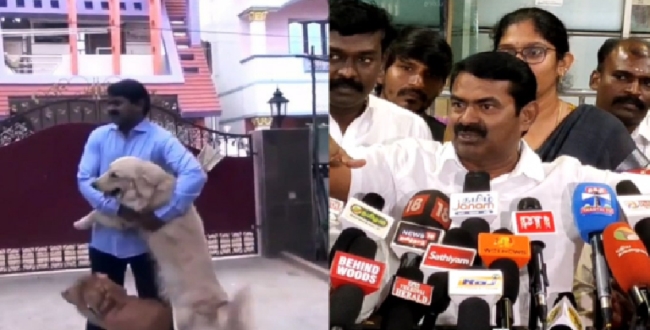 Seithipunal
