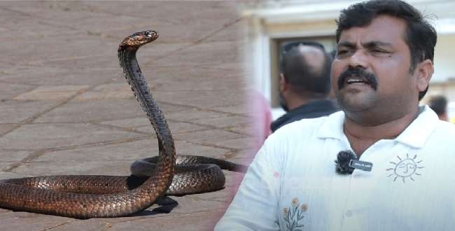 Seithipunal