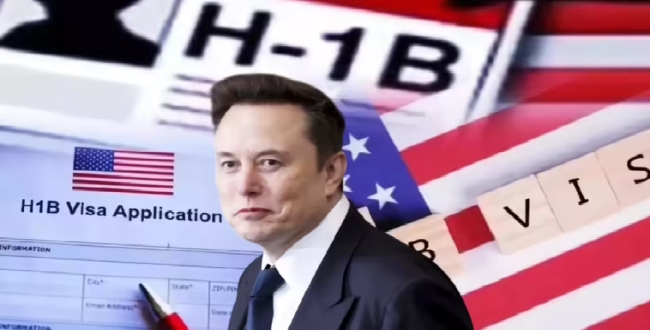 
	இந்தியர்களுக்கு அமெரிக்காவில் இனி வேலை இல்லை? H-1B விசா திட்டத்திற்கு முழு தடை? எலான் மஸ்க் சொன்ன முக்கிய தகவல்! - Seithipunal
