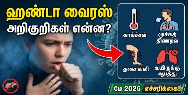 Seithipunal