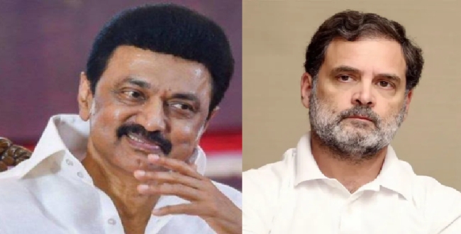 Seithipunal