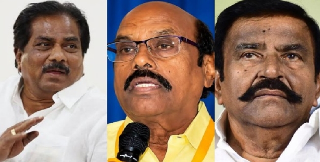 Seithipunal