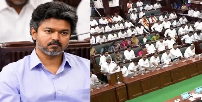 Seithipunal