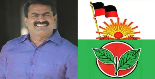 Seithipunal