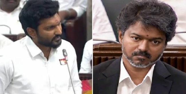 Seithipunal