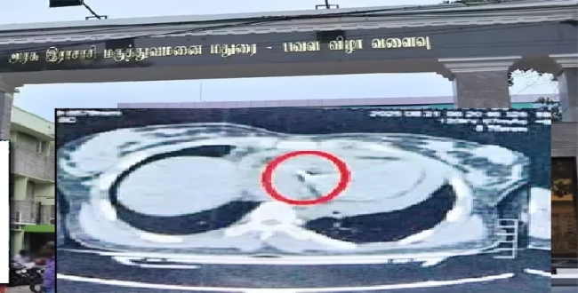 Seithipunal