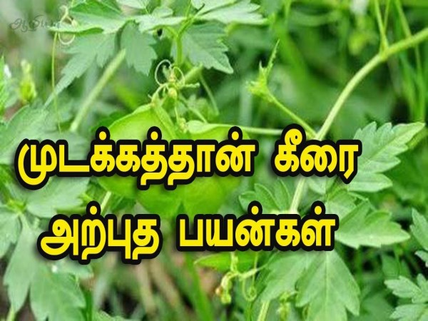 Seithipunal