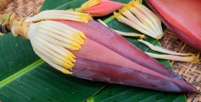 Seithipunal