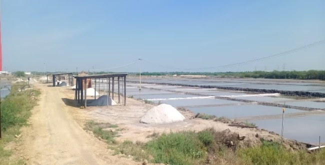 Seithipunal