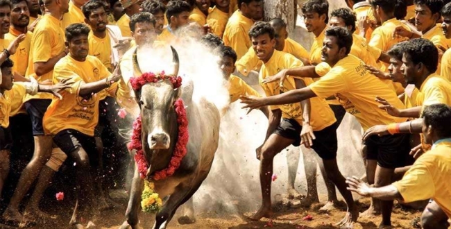 Seithipunal