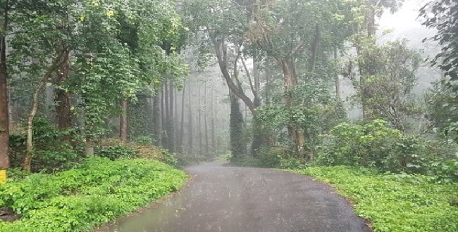 Seithipunal
