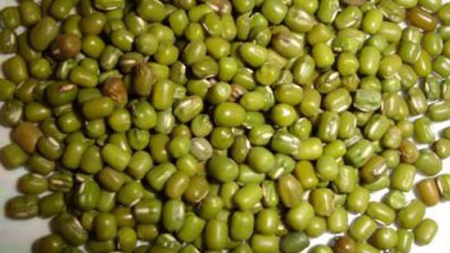 பாசிப்பயிறை சாப்பிடுவதால் உடலுக்கு ஏற்படும் நன்மைகள்.!! உடலின் பெரும்பாலான பிரச்சனைகளை சரி செய்ய பாசிப்பயிறு.!! - Seithipunal