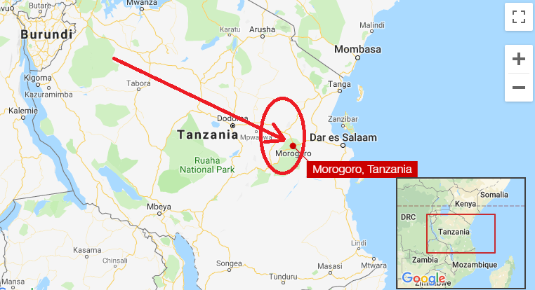 Tanzania, தான்சானியா, Tanzania fuel tanker accident, morongoro,
