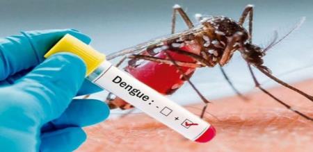 Bengal Increasing incidence dengue 