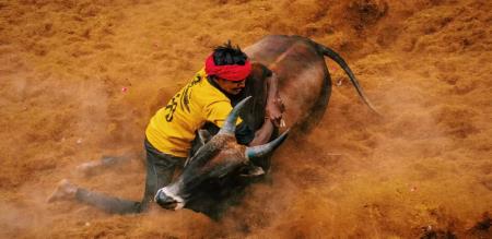 jallikattu registration Madurai  