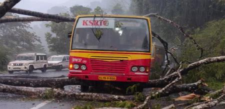 tree collapse down on kerala government bus 