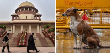 Supreme Court orders 25 state chief secretaries who did not file a written petition in the dog bite case to appear in person