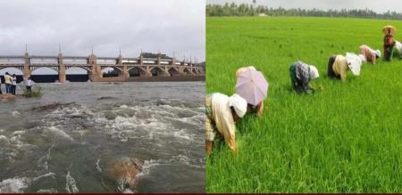 37 people died in 3 months shocking incident that happened in Thanjai